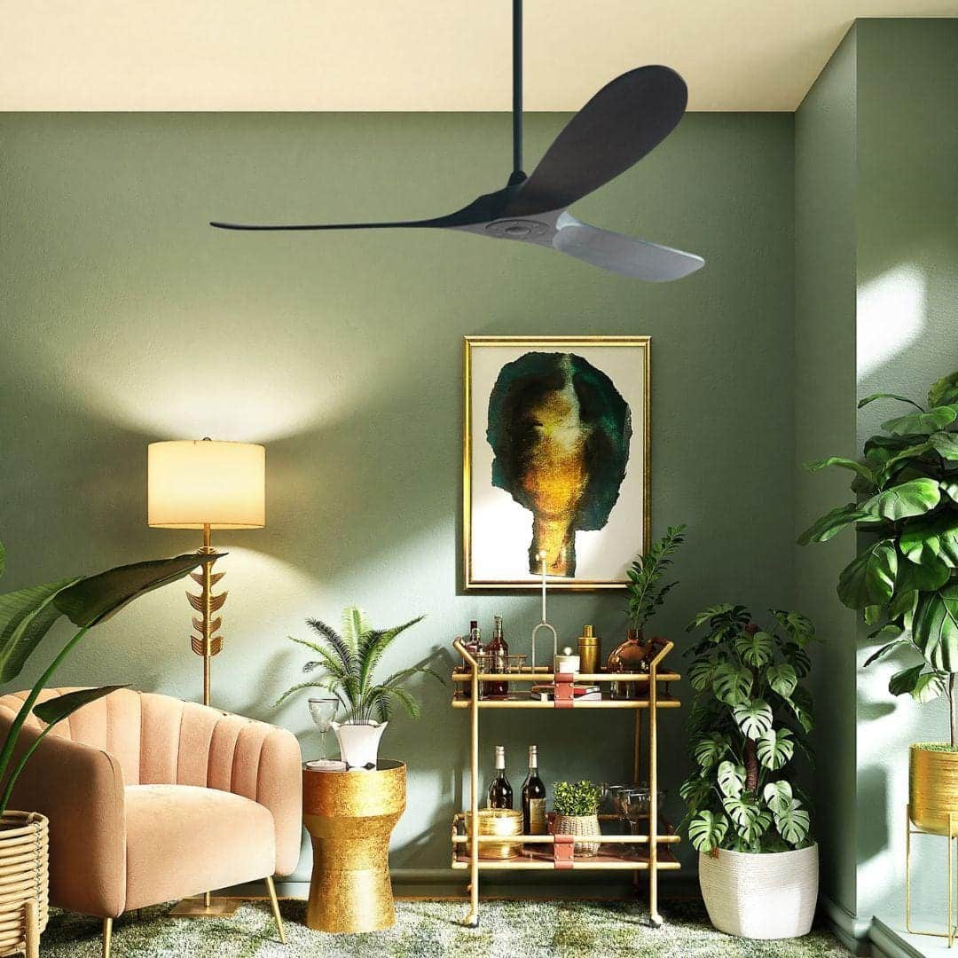 The big deal about a DC motor?