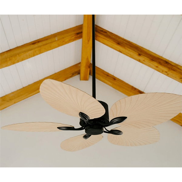 bora-abs-black-ceiling