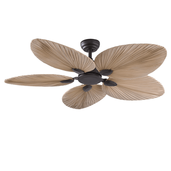 bora-ceiling-fan