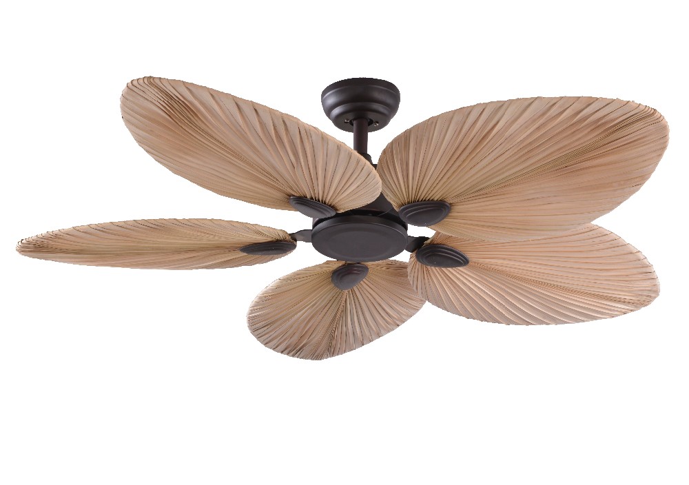 elevate-your-space-with-the-bora-ceiling-fan