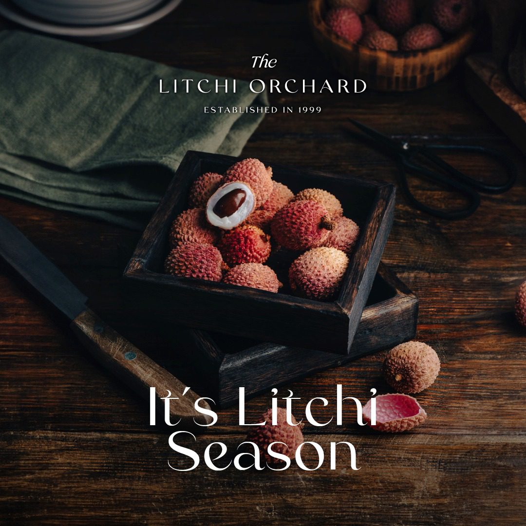 litchi-orchard