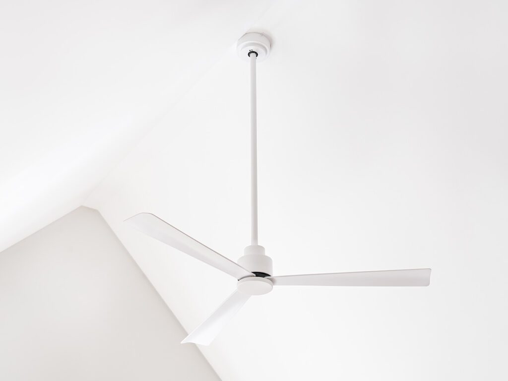 mistral-white-closeup