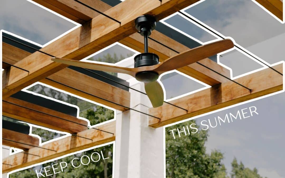 Supporting Local Businesses this Festive Season | Ceiling Fans for Our South African Fan-Base!