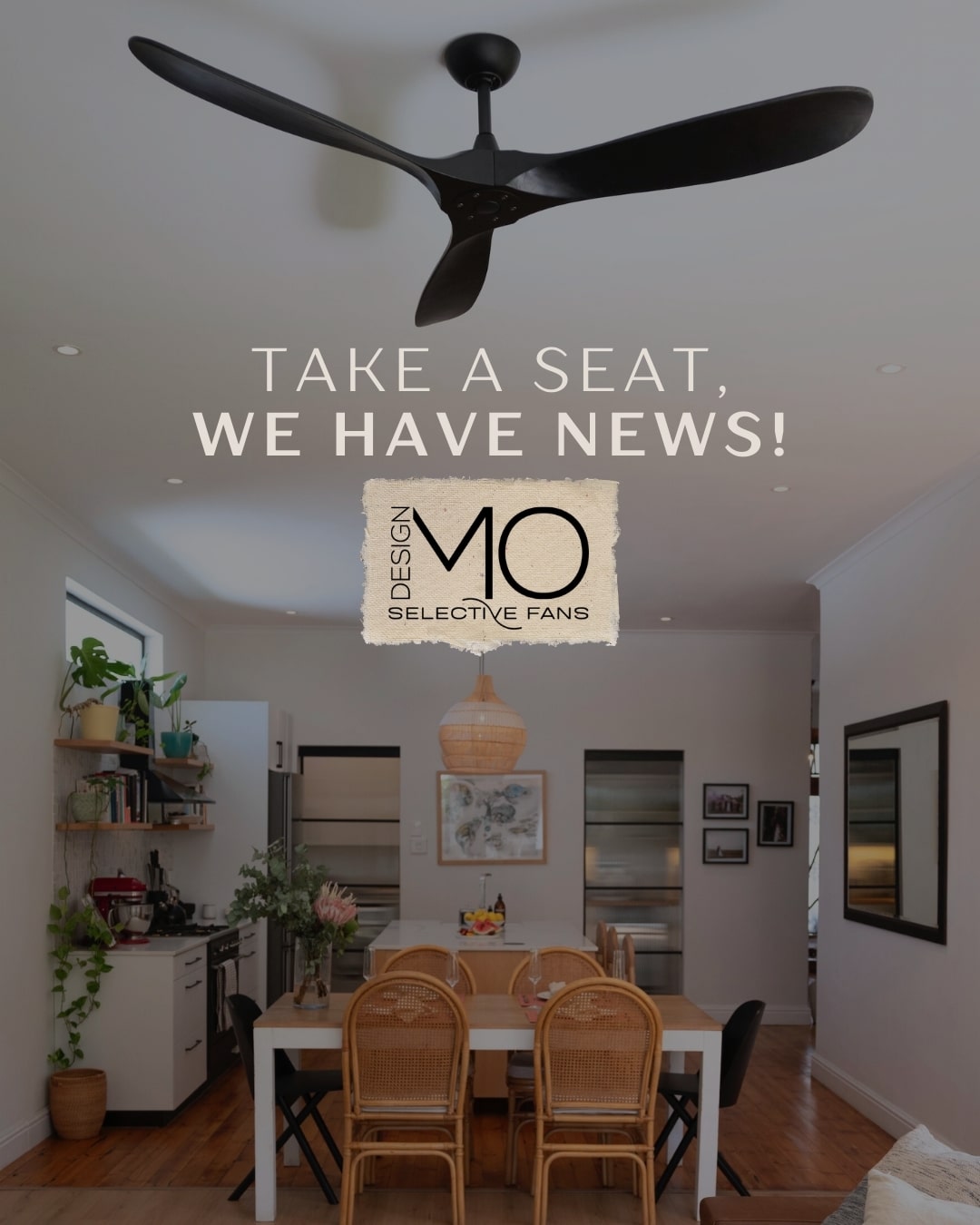 New Collaboration with Moiisha Visagie